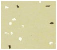 Creme Coloured Speckled Style Finished Rubber Flooring
